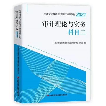 审计理论与实务（2021）科目二