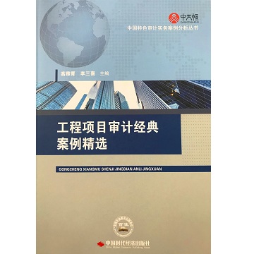 工程项目审计经典案例精选