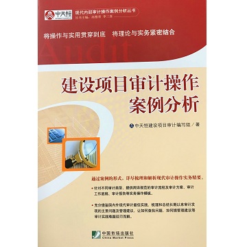 建设项目审计操作案例分析