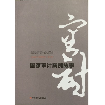 国家审计案例故事