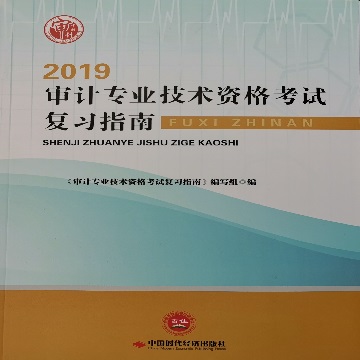 审计专业技术资格考试复习指南2019