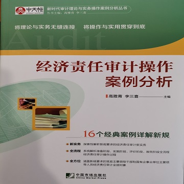 经济责任审计操作案例分析