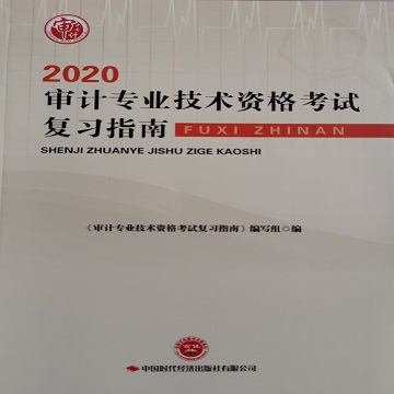 审计专业技术资格考试复习指南（2020）