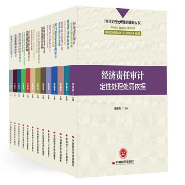 审计定性处理处罚依据丛书（13本）