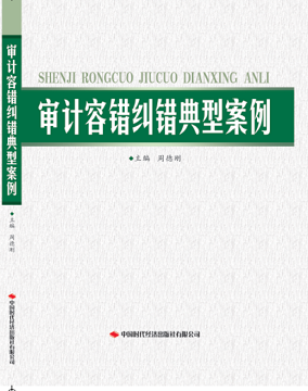 审计容错纠错典型案例