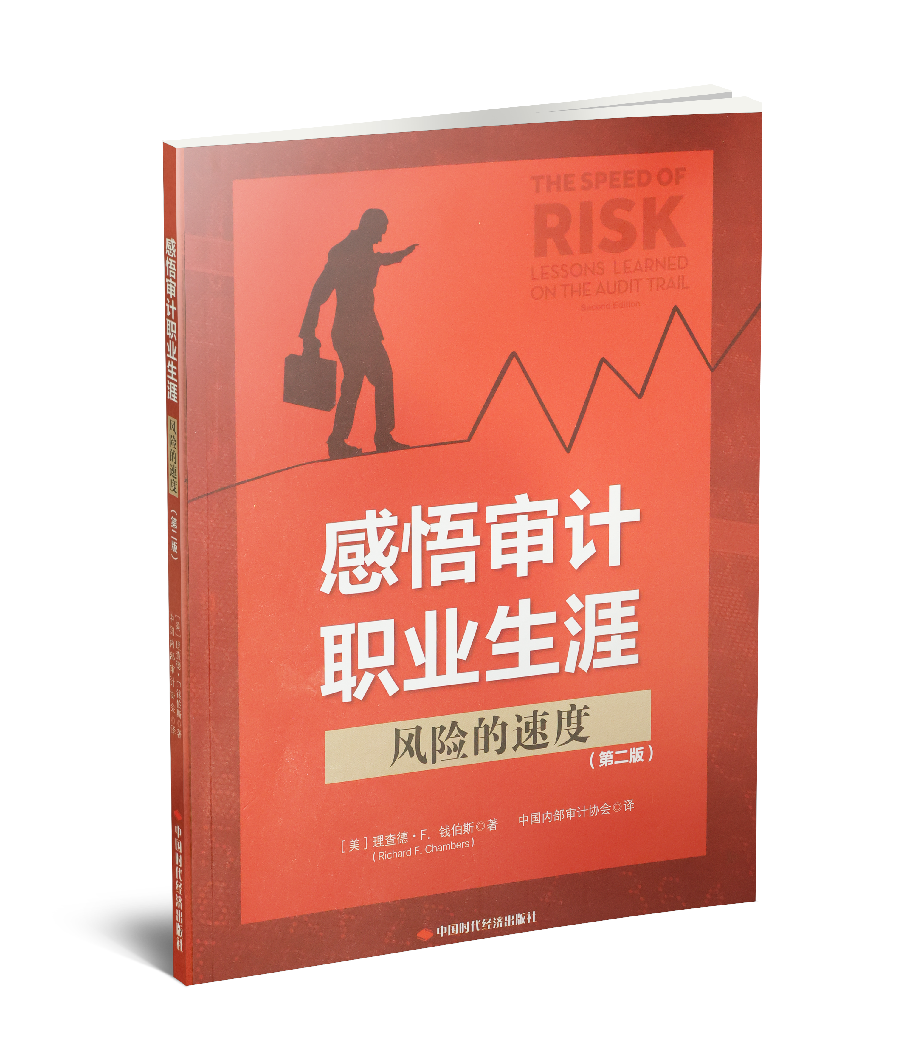 感悟审计职业生涯：风险的速度：第二版